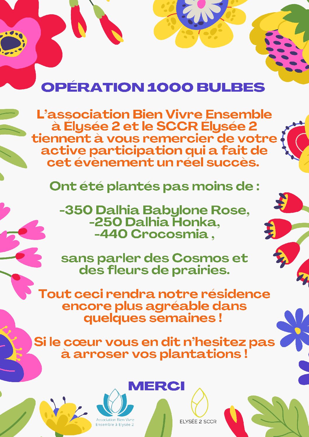 Flash Info